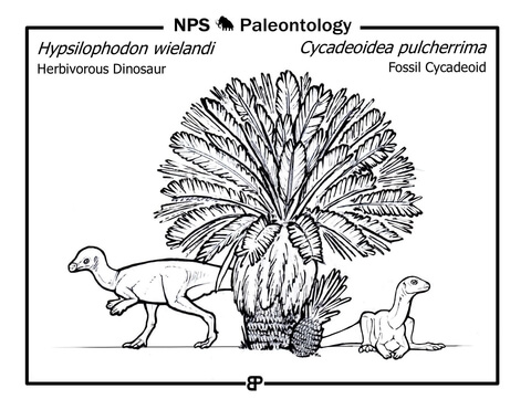 Cycadeoid (Cycadeoidea Pulcherrima) And Hypsilophodon Wielandi Coloring Page